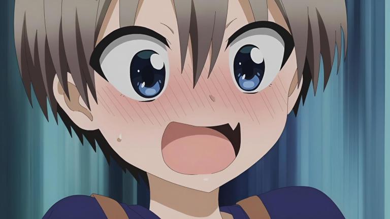 Otaku arrestado por robar juguetes para adultos