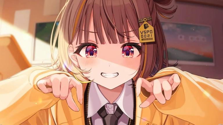 Sujeto es multado por profanar VTubers