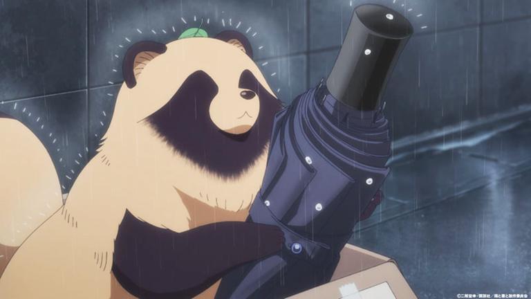 Un tanuki llega con With You and the Rain